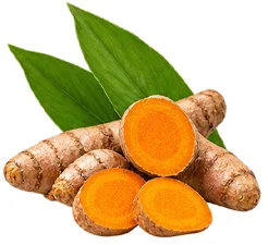 Musculon — Haldi (curcuma)